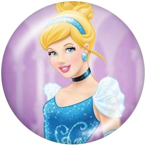 Snaps_ZZP3860-20CH_6