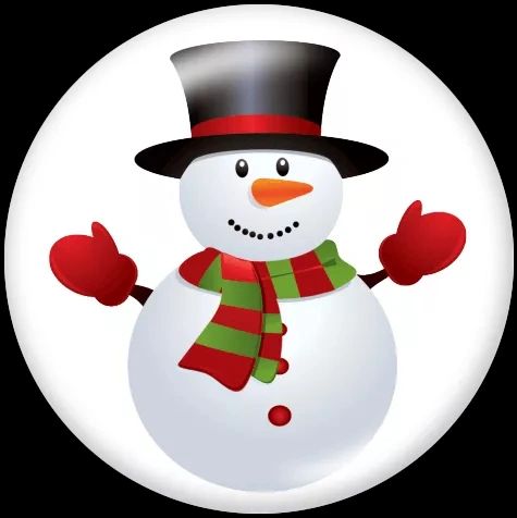 Snaps_ZZD1080-20CH-2